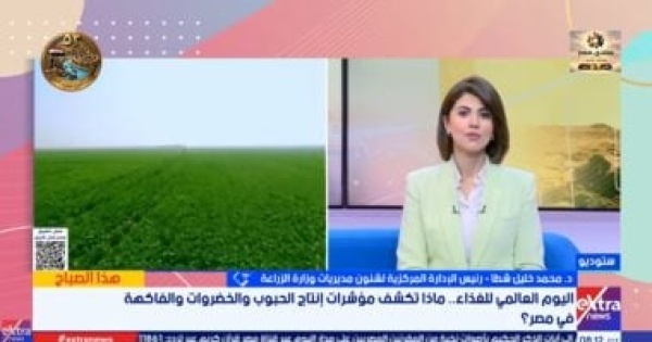 وزارة الزراعة نستهدف زراعة 3 8 مليون فدان قمح خلال موسم 2025 2026 وزارة الزراعة نستهدف زراعة 3 8 مليون فدان قمح خلال موسم 2025 2026