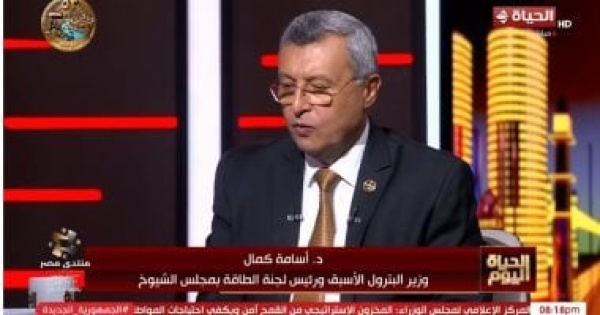 وزير البترول الأسبق لـ الحياة اليوم محطة الضبعة ستوفر 15 من الكهرباء