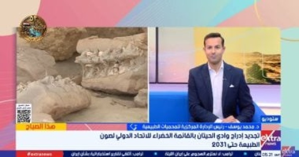 رئيس إدارة المحميات الطبيعية تجديد إدراج وادي الحيتان بالقائمة الخضراء اعتراف دولي بكفاءة إدارته