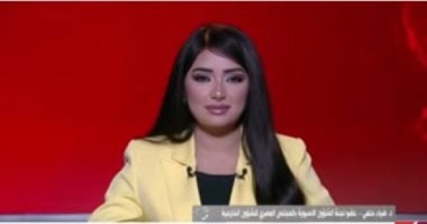 ضياء حلمي مصر جسر موثوق يربط روسيا بإفريقيا