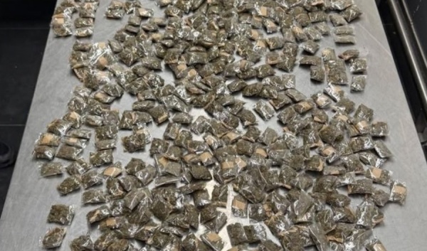جمارك المطار تحبط تهريب 1 763 كغم ماريغوانا و10 غرامات هيروين وحشيش جمارك المطار تحبط تهريب 1 763 كغم ماريغوانا و10 غرامات هيروين وحشيش