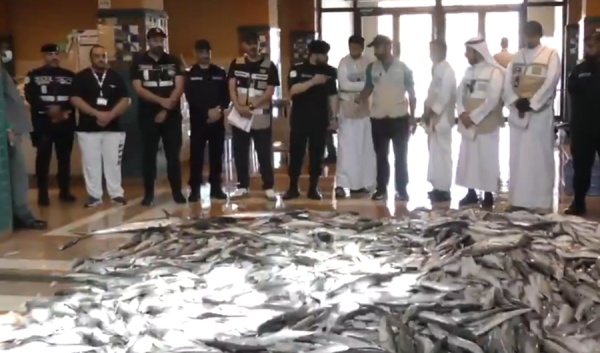 الغذاء والتغذية إتلاف 773 كيلوغراما من الأسماك الفاسدة الغذاء والتغذية إتلاف 773 كيلوغراما من الأسماك الفاسدة