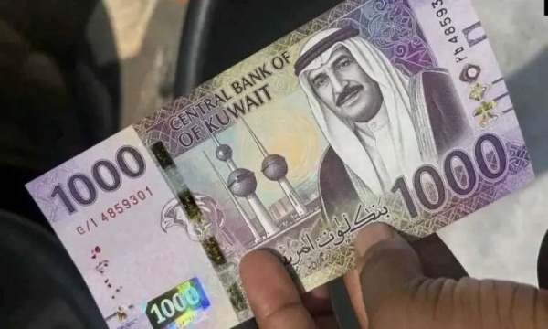أسعار الدينار الكويتي أمام الجنيه في مستهل تعاملات الأحد 12 يوليو 2026 أسعار الدينار الكويتي أمام الجنيه في مستهل تعاملات الأحد 12 يوليو 2026