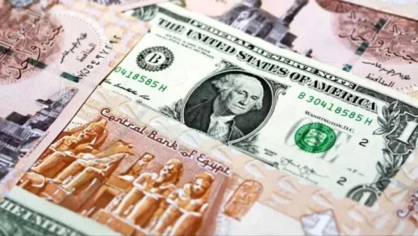 سعر الدولار مقابل الجنيه المصري في تعاملات اليوم الجمعة 31 يوليو 2026 سعر الدولار مقابل الجنيه المصري في تعاملات اليوم الجمعة 31 يوليو 2026