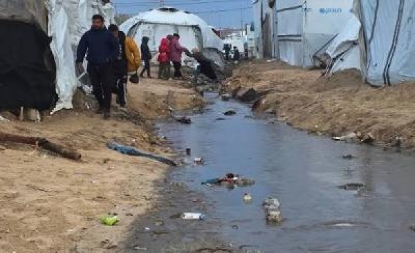 مياه ملوثة وأمراض تتفشى بين نازحي غزة مياه ملوثة وأمراض تتفشى بين نازحي غزة