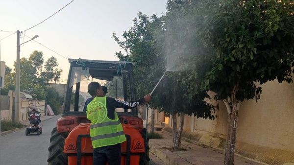 منزل بورقيبة حملة للقضاء على الحشرات منزل بورقيبة حملة للقضاء على الحشرات