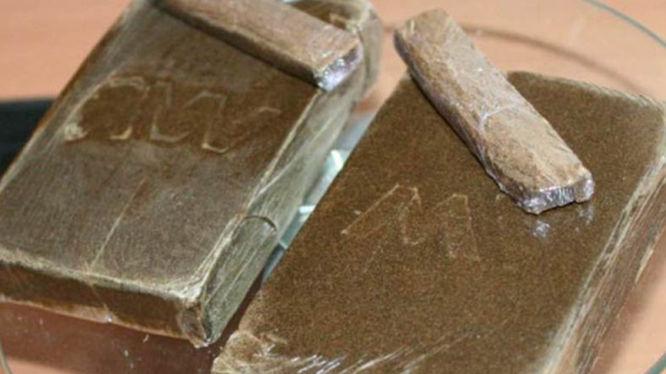 ماطر حجز صفيحة من الزطلة ماطر حجز صفيحة من الزطلة