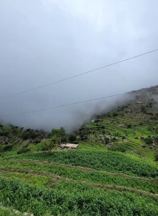 الأرصاد أمطار متوسطة إلى غزيرة مصحوبة برياح هابطة وحبات البرد على أغلب المرتفعات وبعض السواحل الأرصاد أمطار متوسطة إلى غزيرة مصحوبة برياح هابطة وحبات البرد على أغلب المرتفعات وبعض السواحل