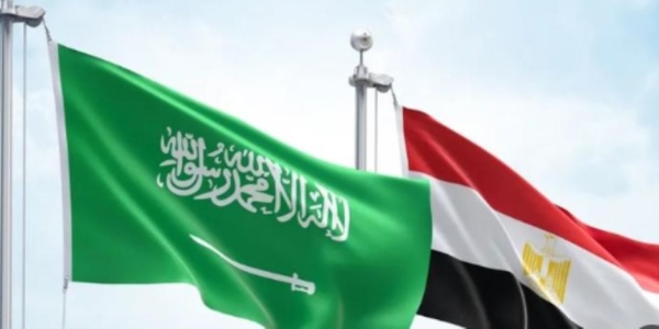 عضو بالنواب توحيد الرؤى بين القاهرة والرياض ضرورة لعبور أزمات المنطقة
