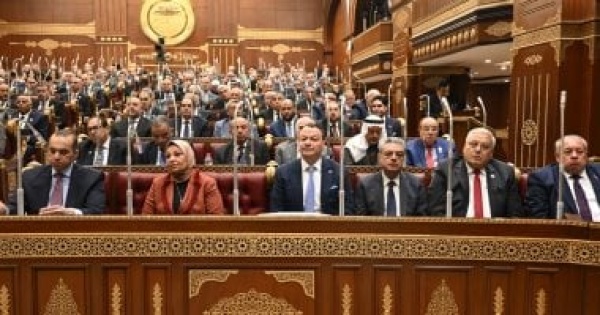 مصادر برلمانية هشام الششتاوى رئيس ا للجنة الصحة والسكان بمجلس الشيوخ