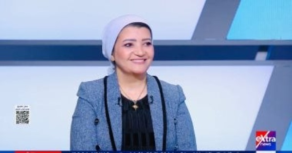 همت سلامة مصر ترفض الكيانات الانفصالية وتدعم وحدة الدول