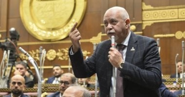 حازم الجندى يطالب بتشجيع الاستثمار فى الصناعات الدوائية والمستلزمات الطبية