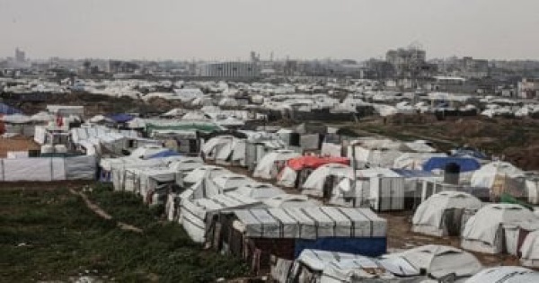 نائبة الاتفاق التاريخى فى غزة يجسد حكمة الرئيس السيسى وكفاءة مؤسسات الدولة نائبة الاتفاق التاريخى فى غزة يجسد حكمة الرئيس السيسى وكفاءة مؤسسات الدولة
