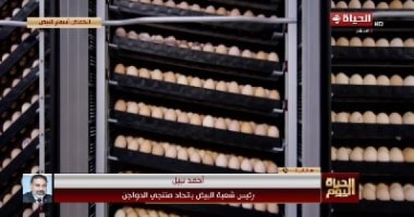 أحمد نبيل يكشف الأسباب وتحديات تواجه المنتجين انخفاض كبير في أسعار البيض