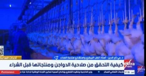 استشاري سلامة الغذاء توضح علامات فساد الدواجن وكيفية التحقق منها استشاري سلامة الغذاء توضح علامات فساد الدواجن وكيفية التحقق منها