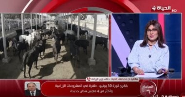 الزراعة إنتاج 7 ملايين طن ألبان سنويا وتقليص فجوة استيراد اللحوم إلى 40 الزراعة إنتاج 7 ملايين طن ألبان سنويا وتقليص فجوة استيراد اللحوم إلى 40