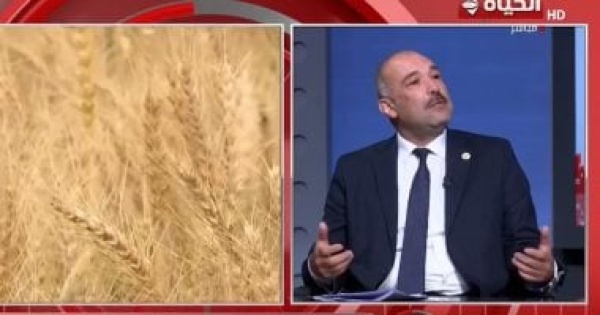 وزارة الزراعة حققنا 9 5 مليون طن صادرات زراعية خلال العام الماضي