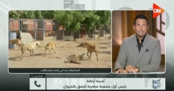 أمينة أباظة لـ كلمة أخيرة الكلاب الضالة تهدد المواطنين والحلول تحتاج حسما أمينة أباظة لـ كلمة أخيرة الكلاب الضالة تهدد المواطنين والحلول تحتاج حسما