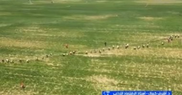 أستاذ اقتصاد زراعي مصر ستجني فوائد كثيرة من التعامل مع دول بريكس