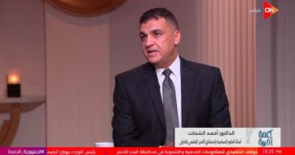 أستاذ علوم سياسية التوقيت يمنح الزيارة المصرية الإماراتية أهمية خاصة