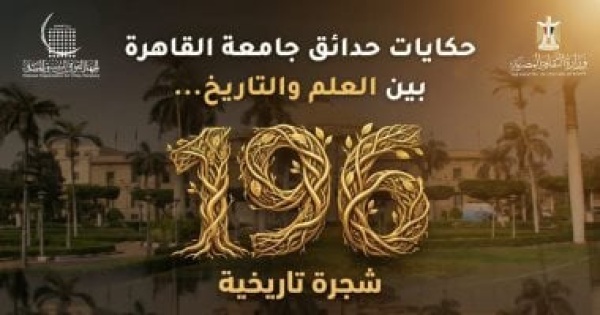 التنسيق الحضارى يوثق 196 شجرة تاريخية بجامعة القاهرة اعرف تفاصيل التنسيق الحضارى يوثق 196 شجرة تاريخية بجامعة القاهرة اعرف تفاصيل