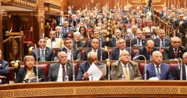 عضو بمجلس الشيوخ يقترح تعديل الدستور ومنح صلاحيات تشريعية أوسع نطاقا لمجلسه