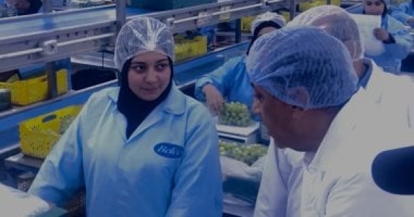 مدبولى نحرص على تهيئة بيئة استثمارية تتيح التوسع فى التكنولوجيا الزراعية مدبولى نحرص على تهيئة بيئة استثمارية تتيح التوسع فى التكنولوجيا الزراعية