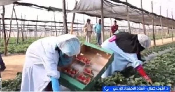 خبير ثقافة الجودة كلمة السر وراء تفوق المنتجات المصرية في الأسواق الخارجية