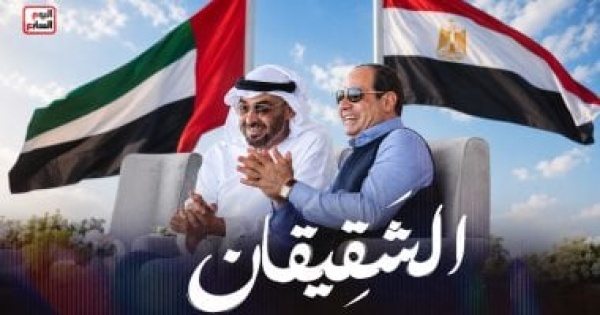 برلماني العلاقات المصرية الإماراتية من أهم نماذج الشراكة العربية الناجحة