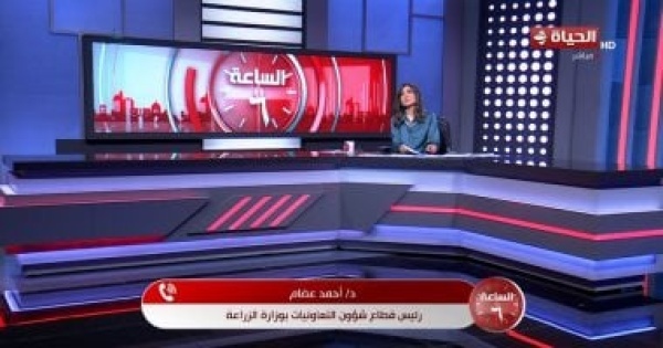 الزراعة الكتان المصري في طريقه لاستعادة مكانته العالمية