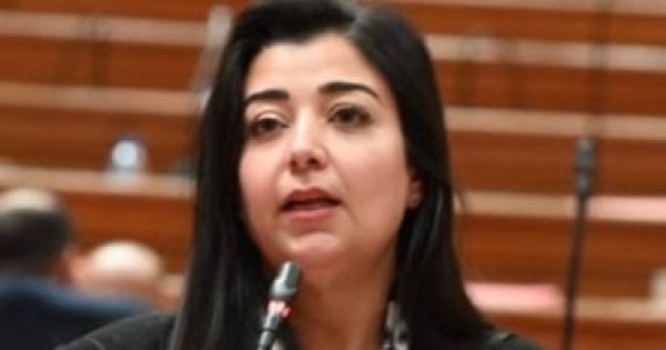 برلمانية خطاب الرئيس فى ذكرى 23 يوليو يجسد رؤية الدولة للتنمية والاستقرار
