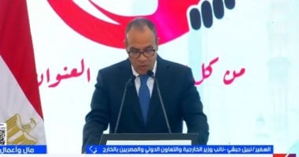 السفير نبيل حبشى يكشف تفاصيل الوثيقة التأمينية الجديدة للمصريين بالخارج السفير نبيل حبشى يكشف تفاصيل الوثيقة التأمينية الجديدة للمصريين بالخارج
