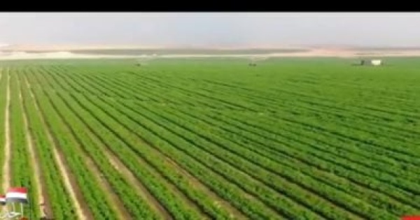 تقرير لـ إكسترا نيوز توشكى الجديدة مشروع عملاق يعزز الأمن الغذائى المصرى تقرير لـ إكسترا نيوز توشكى الجديدة مشروع عملاق يعزز الأمن الغذائى المصرى