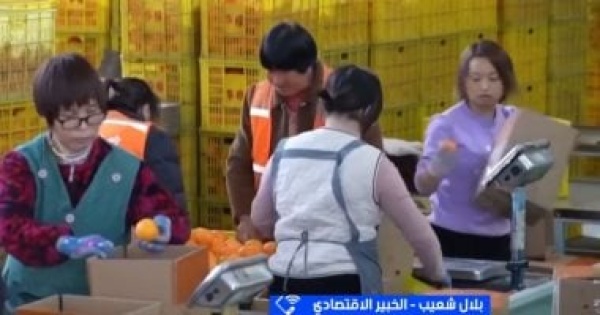 خبير اقتصادى العالم يعانى من أزمات معقدة والديون تجاوزت 352 تريليون دولار