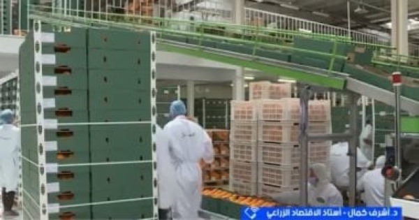 أستاذ اقتصاد نموذج القرية المنتجة يعزز الاقتصاد المحلي