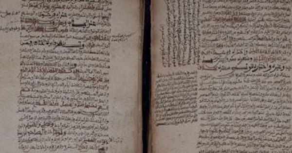 رقمنة أكثر من 52 ألف صفحة من مخطوطات نادرة غربى أفريقيا رقمنة أكثر من 52 ألف صفحة من مخطوطات نادرة غربى أفريقيا