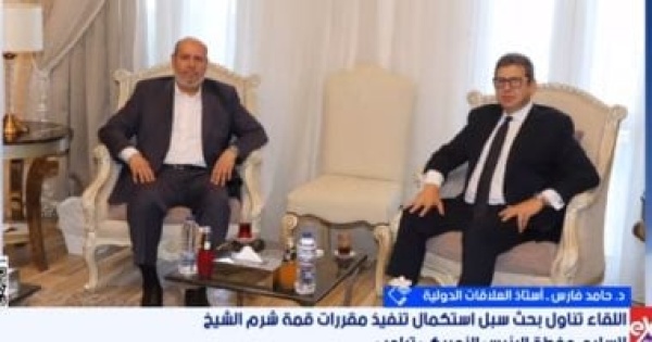 أستاذ علاقات دولية الرؤية المصرية درع واقية للقضية الفلسطينية أستاذ علاقات دولية الرؤية المصرية درع واقية للقضية الفلسطينية