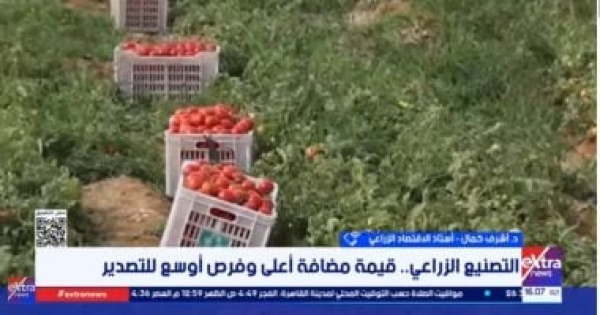 أستاذ اقتصاد التصنيع الزراعي يرفع قيمة الصادرات ويدعم الريف أستاذ اقتصاد التصنيع الزراعي يرفع قيمة الصادرات ويدعم الريف