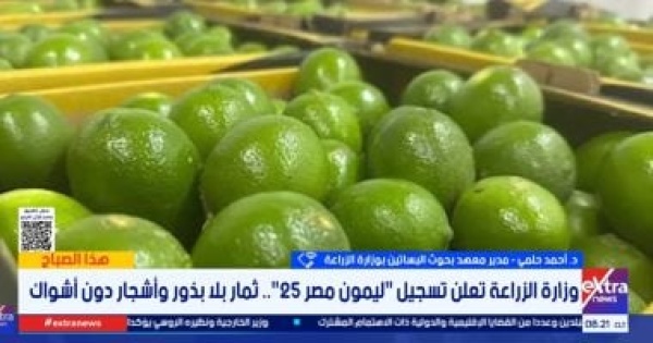 الزراعة استنباط أصناف محلية يرفع إنتاجية المزارع وليمون مصر 25 أبرز النماذج الزراعة استنباط أصناف محلية يرفع إنتاجية المزارع وليمون مصر 25 أبرز النماذج
