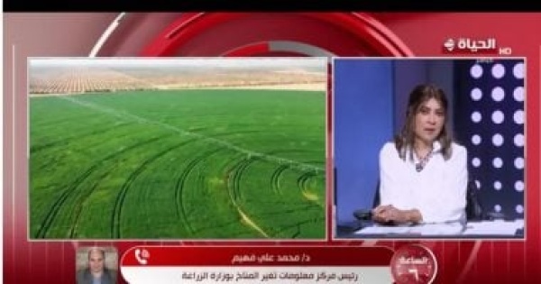 رئيس مركز تغير المناخ لـ الساعة 6 الدولة تحمي مصر من مخاطر نقص القمح رئيس مركز تغير المناخ لـ الساعة 6 الدولة تحمي مصر من مخاطر نقص القمح