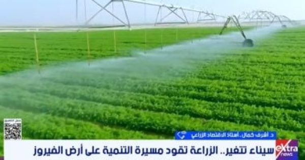 أستاذ اقتصاد سيناء تتحول إلى قاعدة للإنتاج والتصدير أستاذ اقتصاد سيناء تتحول إلى قاعدة للإنتاج والتصدير