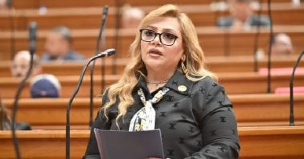 النائبة هبة غالي لقاء الرئيس السيسي ورئيس وزراء قطر رسالة دعم لاستقرار المنطقة النائبة هبة غالي لقاء الرئيس السيسي ورئيس وزراء قطر رسالة دعم لاستقرار المنطقة