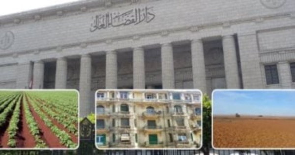 مبدأ قضائي الدعـوى التى تحمى الملكية الخاصـة لا تسقط بالتقادم برلماني مبدأ قضائي الدعـوى التى تحمى الملكية الخاصـة لا تسقط بالتقادم برلماني