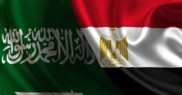 بين الفصحى والنبطي كيف جمع الشعر مصر والسعودية بين الفصحى والنبطي كيف جمع الشعر مصر والسعودية