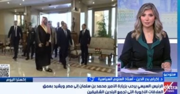 أستاذ علوم سياسية التنسيق المصرى السعودى ركيزة الاستقرار