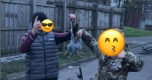 بالنبال شباب بريطانيون يستهدفون الحيوانات من أجل الشهرة على تيك توك بالنبال شباب بريطانيون يستهدفون الحيوانات من أجل الشهرة على تيك توك