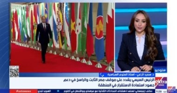 أستاذ علوم سياسية عضوية مصر في بريكس تعزز جذب الاستثمارات