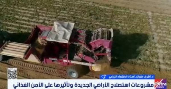 أستاذ اقتصاد زراعى الدولة تتبنى استراتيجية متكاملة للأمن الغذائى أستاذ اقتصاد زراعى الدولة تتبنى استراتيجية متكاملة للأمن الغذائى