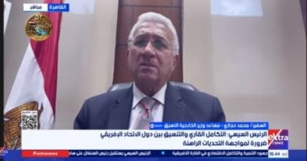 دبلوماسى سابق التكامل الأفريقي حائط صد أمام تحديات القارة