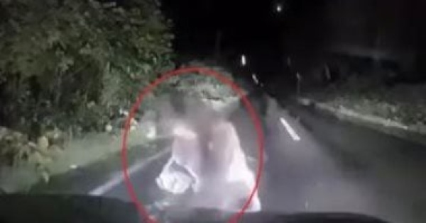 لحظات مرعبة دب ضخم يخرج من الظلام ويهاجم سيارة وسط جزيرة يابانية فيديو لحظات مرعبة دب ضخم يخرج من الظلام ويهاجم سيارة وسط جزيرة يابانية فيديو